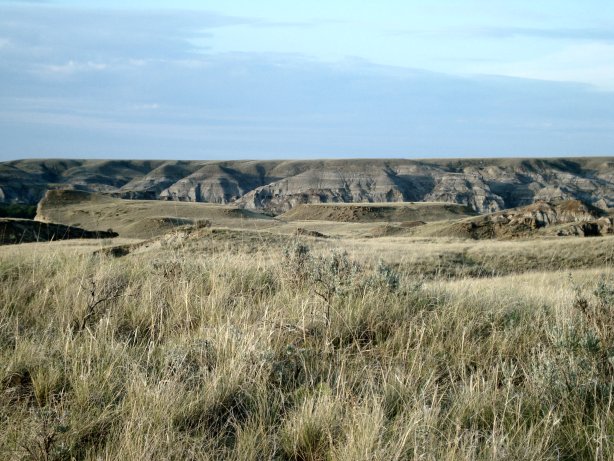 Prairie rim above the park