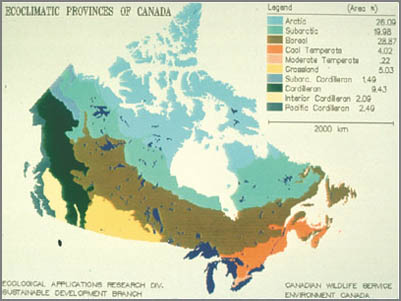 Grasslands In Canada