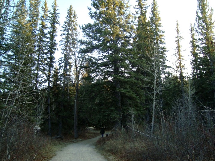 fish creek du & mop nov09