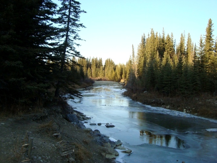 fish creek nov09