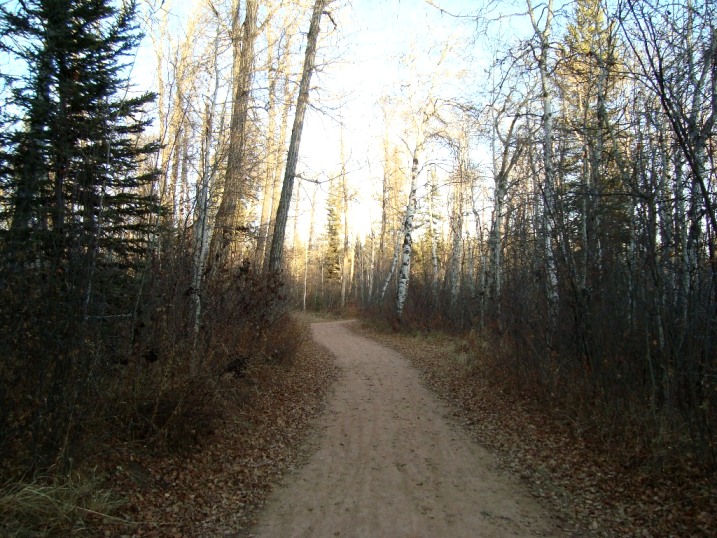 fish creek path nov09