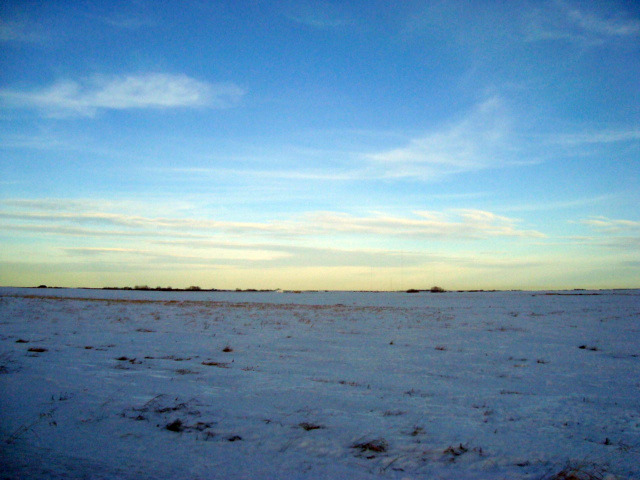 prairie jan2010
