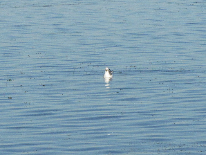 6a18july091