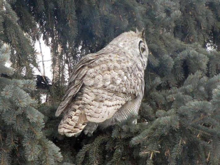 Busterfeb22 106