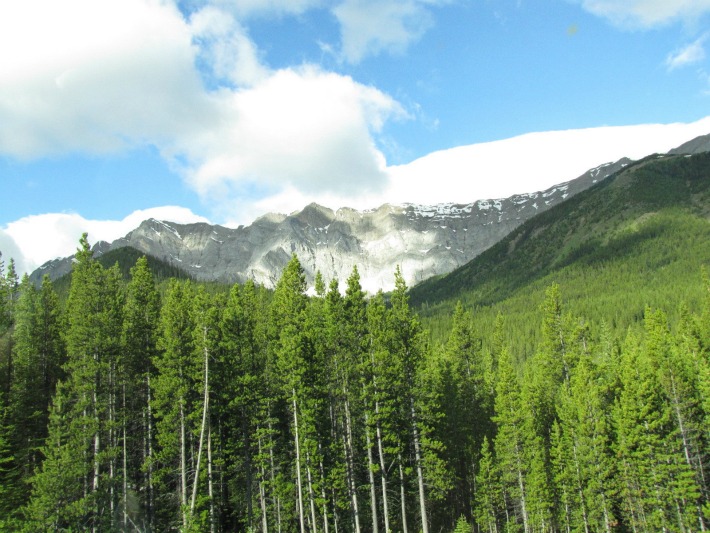 mtns