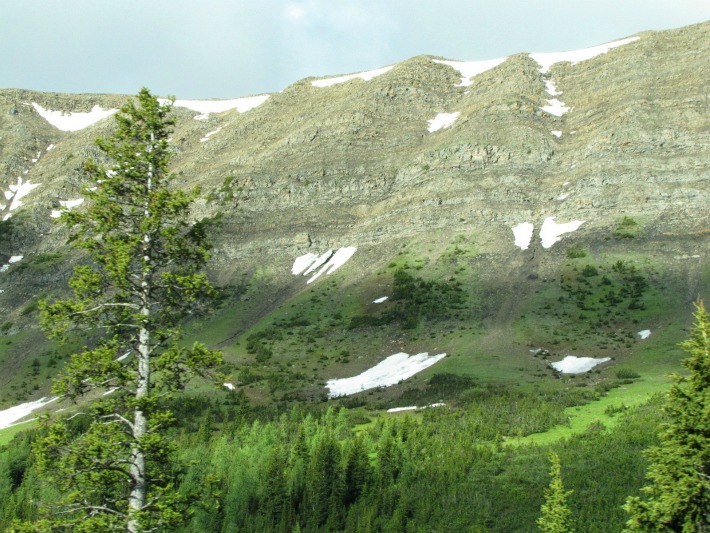 snowfield