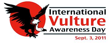 IVAD11 logo354