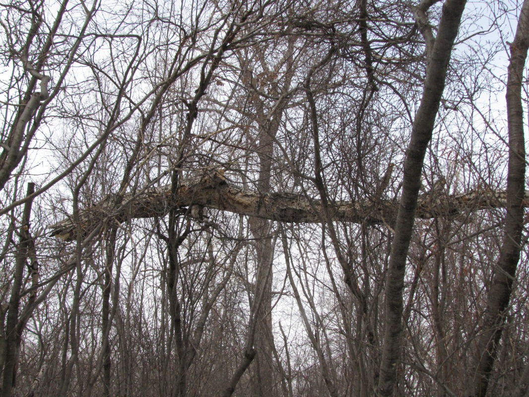 ajan28 027