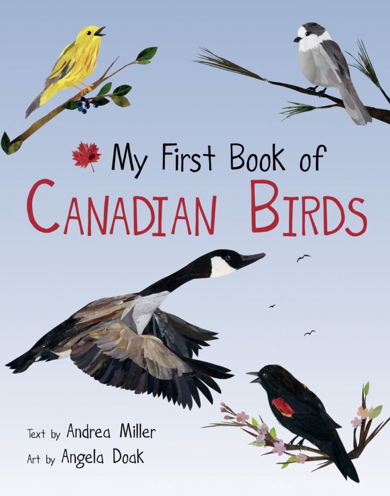My First Book of Canadian Birds Bird Canada